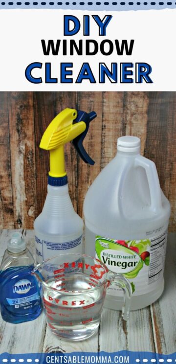 DIY Window/Mirror Cleaner - Centsable Momma