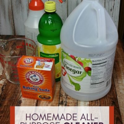 Homemade All-Purpose Cleaner - Centsable Momma