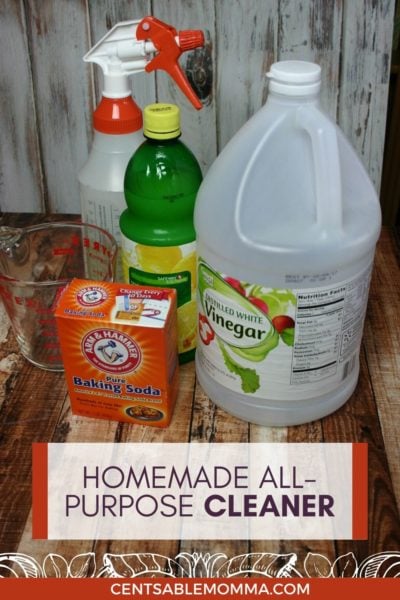 Homemade All-Purpose Cleaner - Centsable Momma