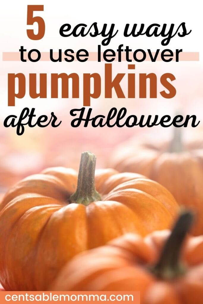 5-ways-to-use-leftover-pumpkins-after-halloween-centsable-momma