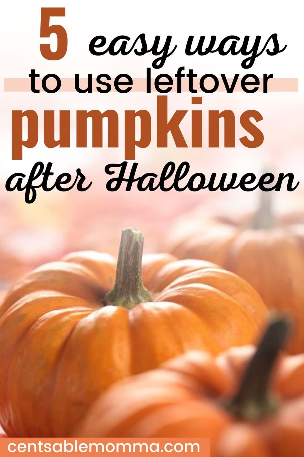 5 Ways To Use Leftover Pumpkins After Halloween Centsable Momma