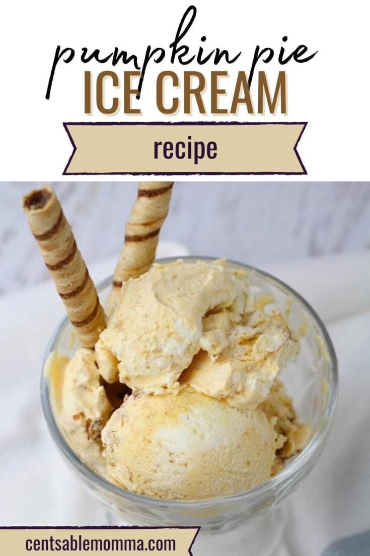 Pumpkin Pie Ice Cream Recipe - Centsable Momma