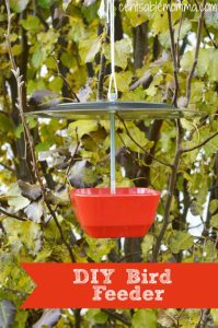 DIY Plate and Bowl Bird Feeder - Centsable Momma