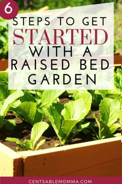 6 Steps to Get Started with a Raised Bed Garden - Centsable Momma