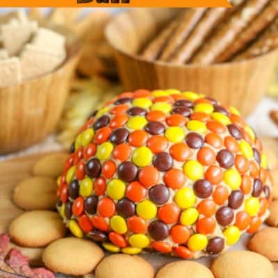 Reese's Pieces Peanut Butter Ball Recipe - Centsable Momma