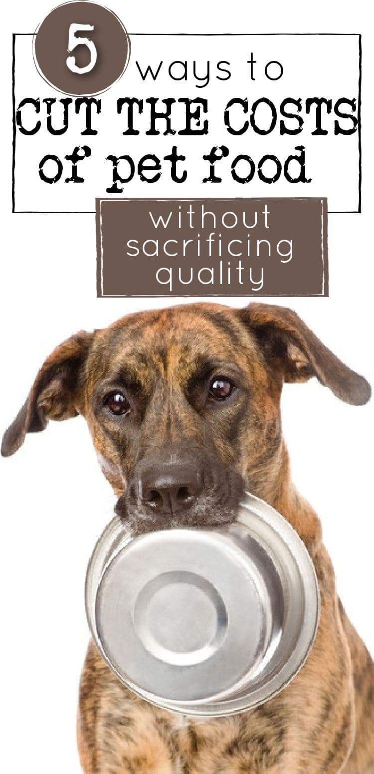 5 Ways To Cut The Costs On Pet Food Without Giving Up Quality 