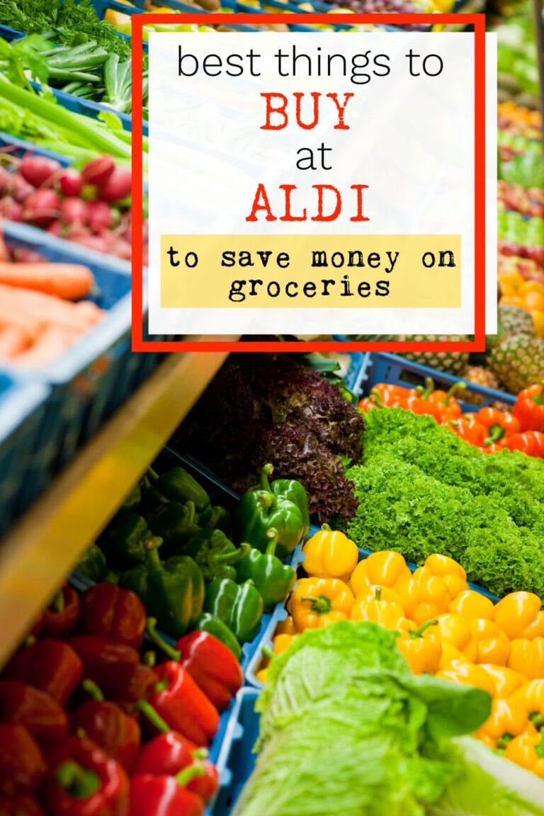 Best Things to Buy at ALDI Centsable Momma